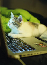 A Venezia ci vado da single. Sapevate che?