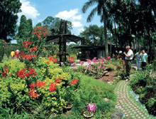 Singapore Botanic Gardens