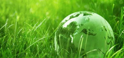 Verso la Giornata mondiale dell'Ambiente 4 Verso la Giornata mondiale dell'Ambiente