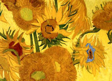 I girasoli di Van Gogh, particolare