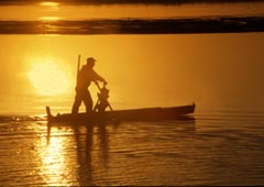 Pesca nella laguna