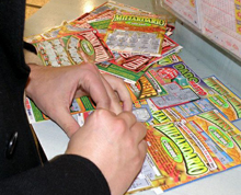 Benvenuti cani. Sapevate che...