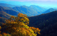 Paesaggio dal parco Great Smoky Mountains. Foto di VisitNc.com