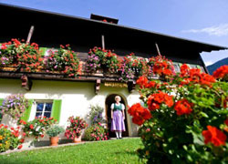 Il gusto non ha confini 2 Il gusto non ha confini