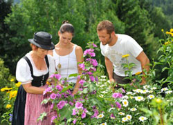 Il gusto non ha confini 3 Il gusto non ha confini