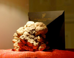 Un'altra immagine del tartufo da guinness