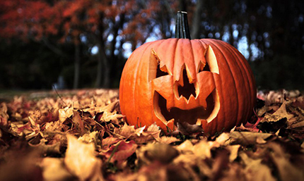 La tipica zucca di Halloween. Copyright foto: © Shutterstock