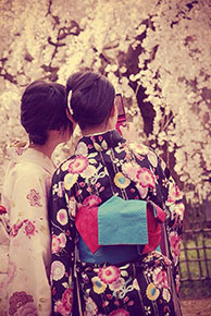 Sakura e hanami, un angolo di Giappone a Roma