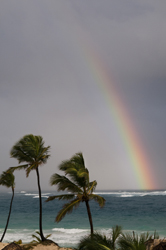 Punta Cana, una spiaggia tra le più belle dopo un temporale