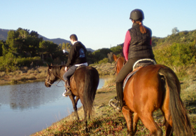 Turismo a cavallo per una vacanza 