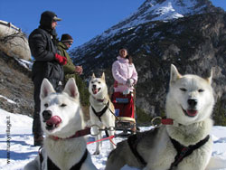 Sleddog sulla neve (Foto: Husky Village) 