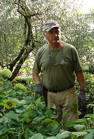 Mauro, il giardiniere di Casa Barbanera 