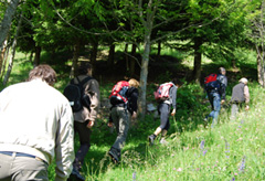 Gruppo in cammino lungo il sentiero