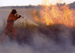 (Foto: Dipartimento della Protezione civile)