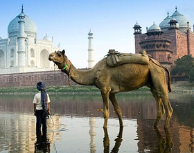 Il fiume Yamuna nell'Uttar Pradesh