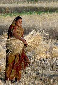 Una contadina indiana del Madhya Pradesh