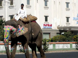 India, sulle strade del Gujarat