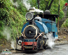 Il treno "giocattolo" di Darjeeling (Foto: Project Himalaya 2007)