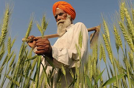 Foto: Narinder Nanu/AFP/Getty Images