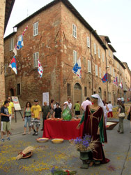 Fiordalisi e ginestre colorano Città della Pieve 2 (foto: Barbara Caricchi)