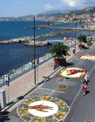 Fiori d'artista sul ponente ligure