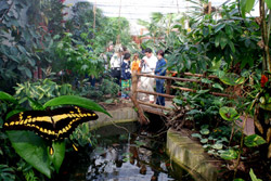 Un giardino tropicale tra i monti del Friuli Venezia Giulia