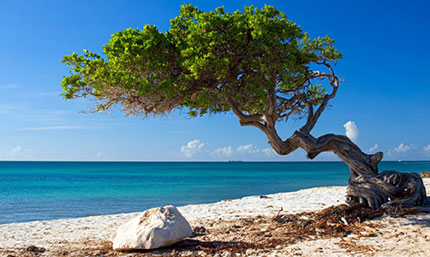 Isola di Aruba