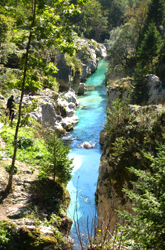 Un forra dell'Isonzo in Val Trenta