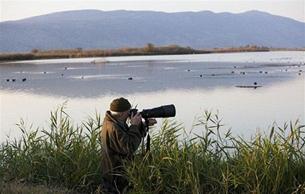 Photo credit: Eilat birds-Dafna Tal
Hula Valley-Itamar Grinberg
