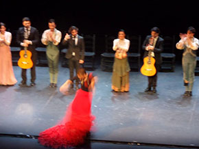 Andalusia, dalle parti del Guadalquivir