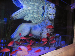 Il leone di san Marco negli 