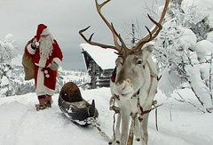 Dove il bianco Natale non delude mai