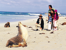 Kangaroo Island