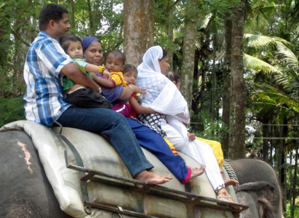 Una famiglia sull'elefante-taxi
