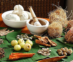 In Kerala tra ayurveda e cardamomo