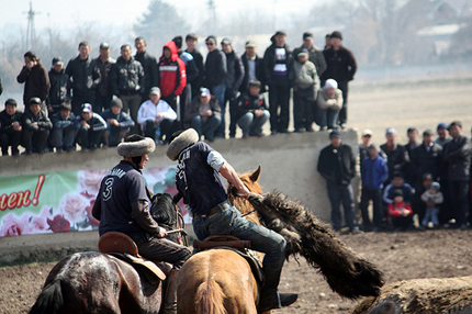 Polo sul campo con una carcassa di capra 