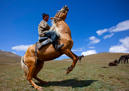 Nel Kirghizistan, terra di cavallerizzi e capre