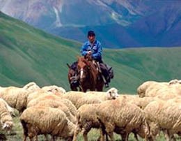 Nel Kirghizistan, terra di cavallerizzi e capre