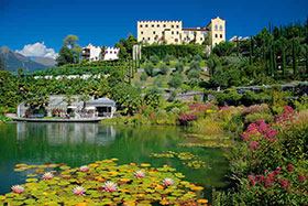 Laghetto delle ninfee, Giardini di Sissi