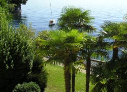 Il Lago Maggiore visto dall'Hotel Majestic