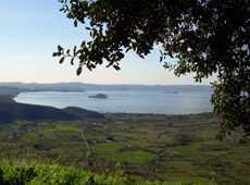 Tuscia, una vacanza al naturale 1 Un altro panorama del lago di Bolsena