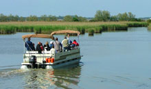 Lagunaria Boat