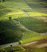 Colline della Langa