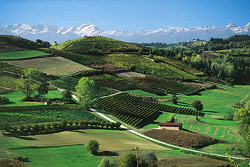 Le Langhe in primavera (foto: Turismo Piemonte)