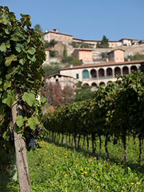 L'azienda agricola Lantieri de Paratico