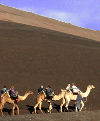 Bianco Il parco vulcanico di Timanfaya, visitabile in parte anche in groppa a un cammello 