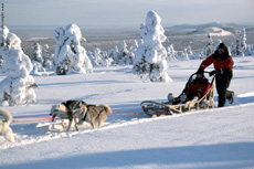 In Lapponia Agamare allarga l'offerta 4 In Lapponia Agamare allarga l'offerta