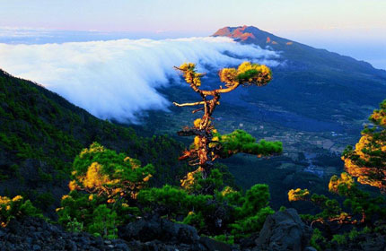 L'isola osservata dalla Punta de los Roques. Foto: Patronato de turismo de La Palma
