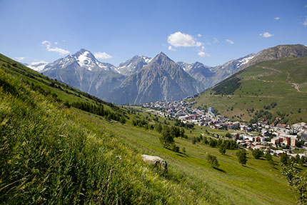 Alpes 