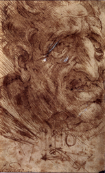 Arcimboldo a Milano 2 Leonardo da Vinci, Testa di vecchio e schizzo di una macchina volante, 1480-1490.
Venezia, Gallerie dell'Accademia, Gabinetto di Disegni e Stampe